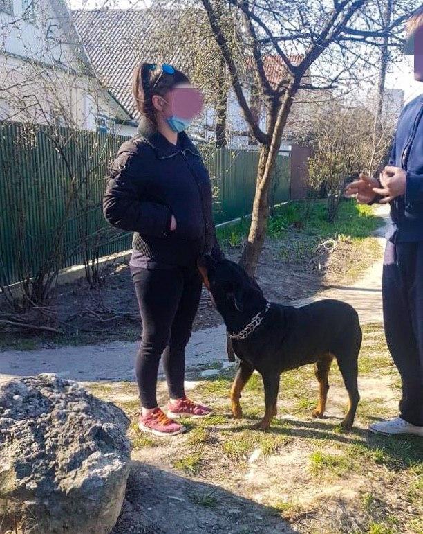 Фото: Киево-Святошинский отдел полиции