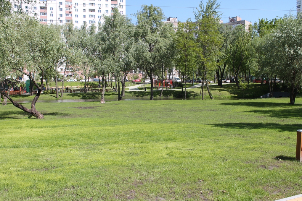 Фото: Деснянская РГА