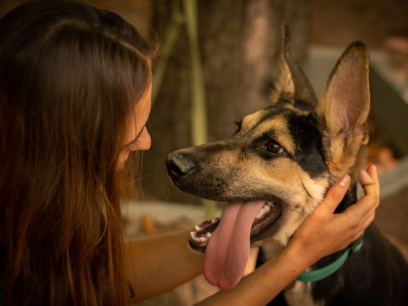 Фото: Александра и Брендон