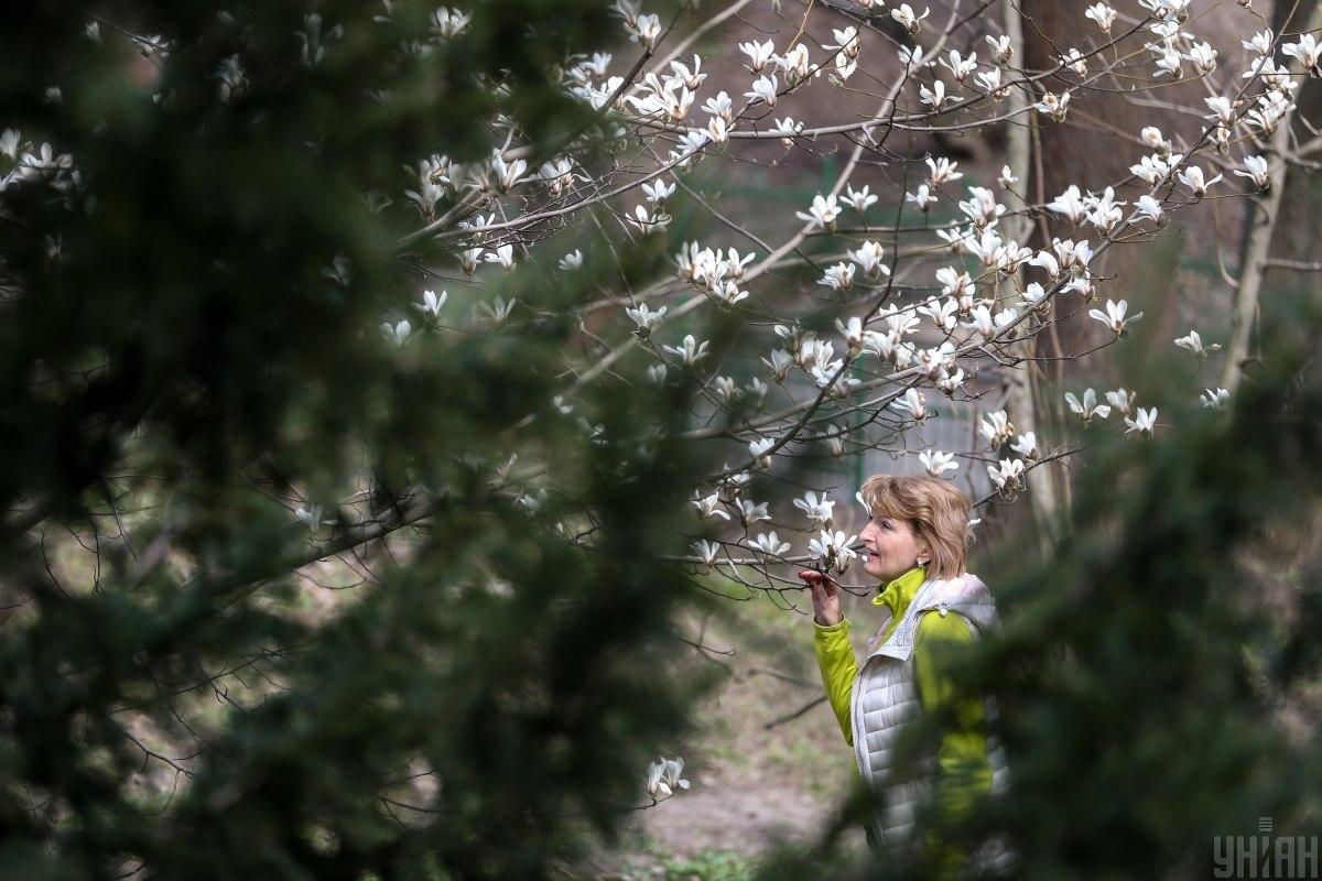 Фото: УНИАН