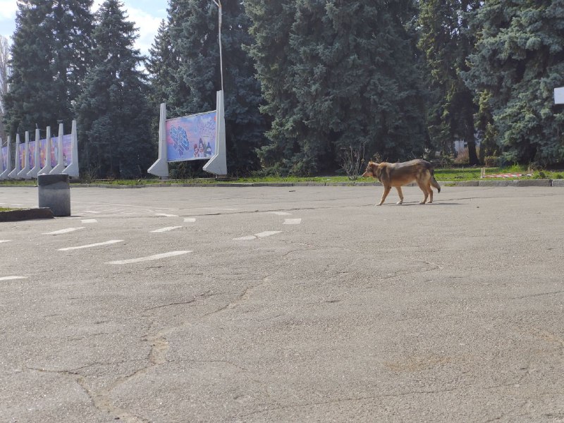 Безлюдные улицы и площади: как выглядит столица во время карантина