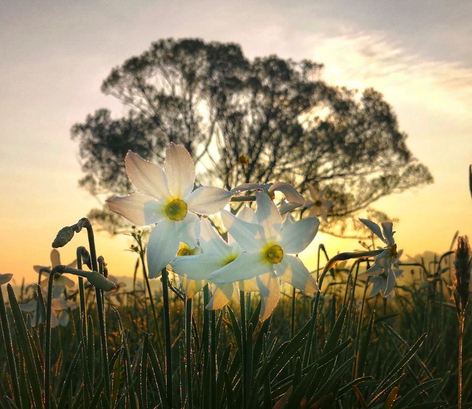 Фото: издание Varosh