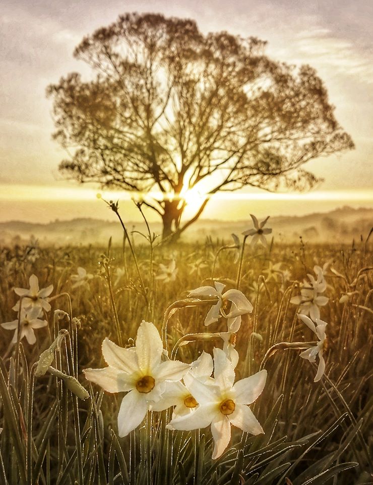 Фото: издание Varosh