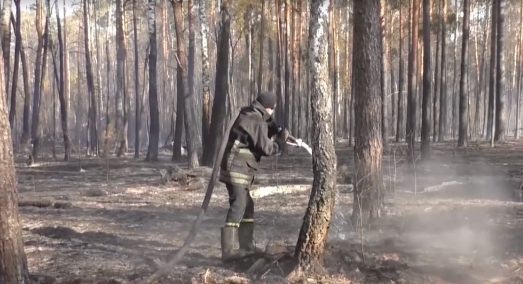 Фото: скриншот из сюжета ТСН