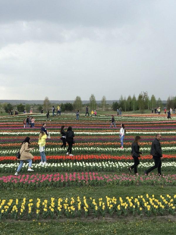 Фото: УНИАН