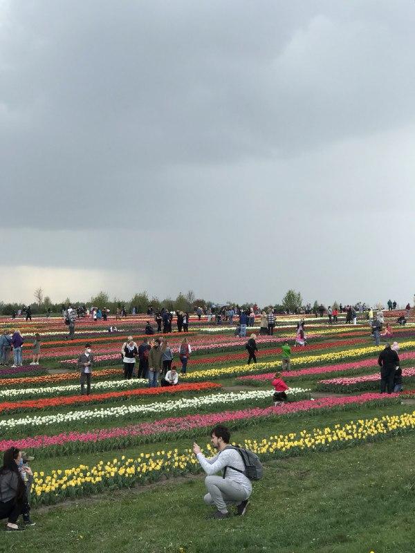 Фото: УНИАН