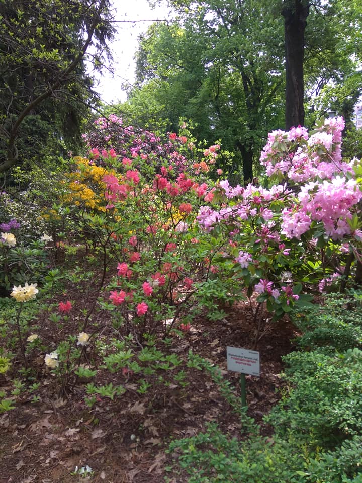 Фото: Вера Никитина