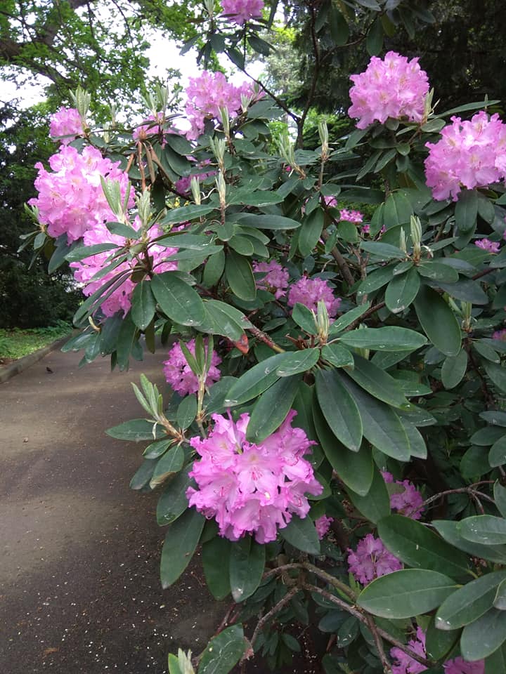 Фото: Вера Никитина