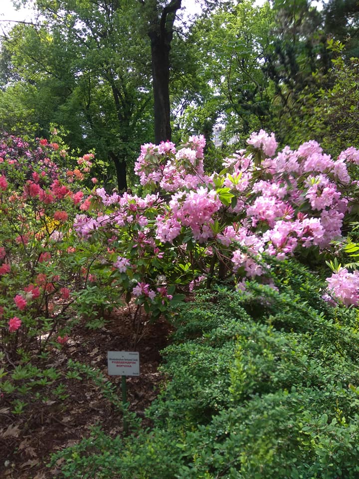 Фото: Вера Никитина