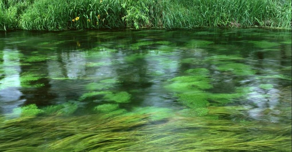 Ну, неужели: впервые с 90-х в Киеве начали создавать экологическую стратегию