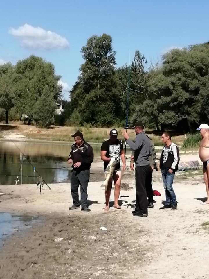 Вот так выглядит рыба. Источник фото: Facebook