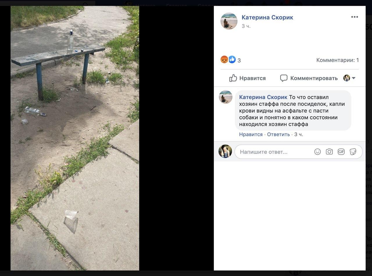 Скриншот со страницы автора видео. 