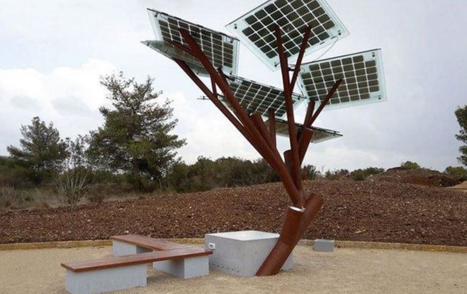 Вот так выглядит солнечное дерево в киевском зоопарке. Источник фото: 5.ua