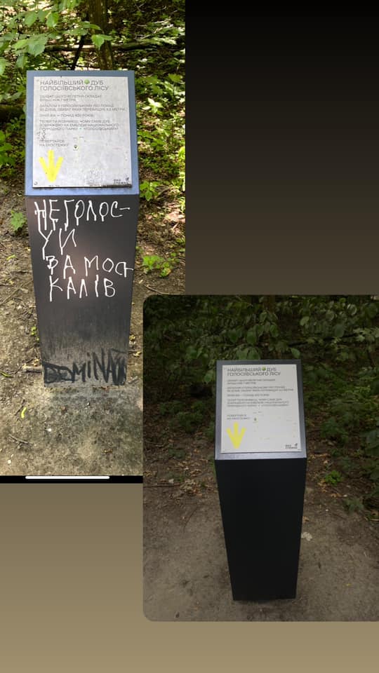 Было-стало. Источник фото: Gres Todorchuk