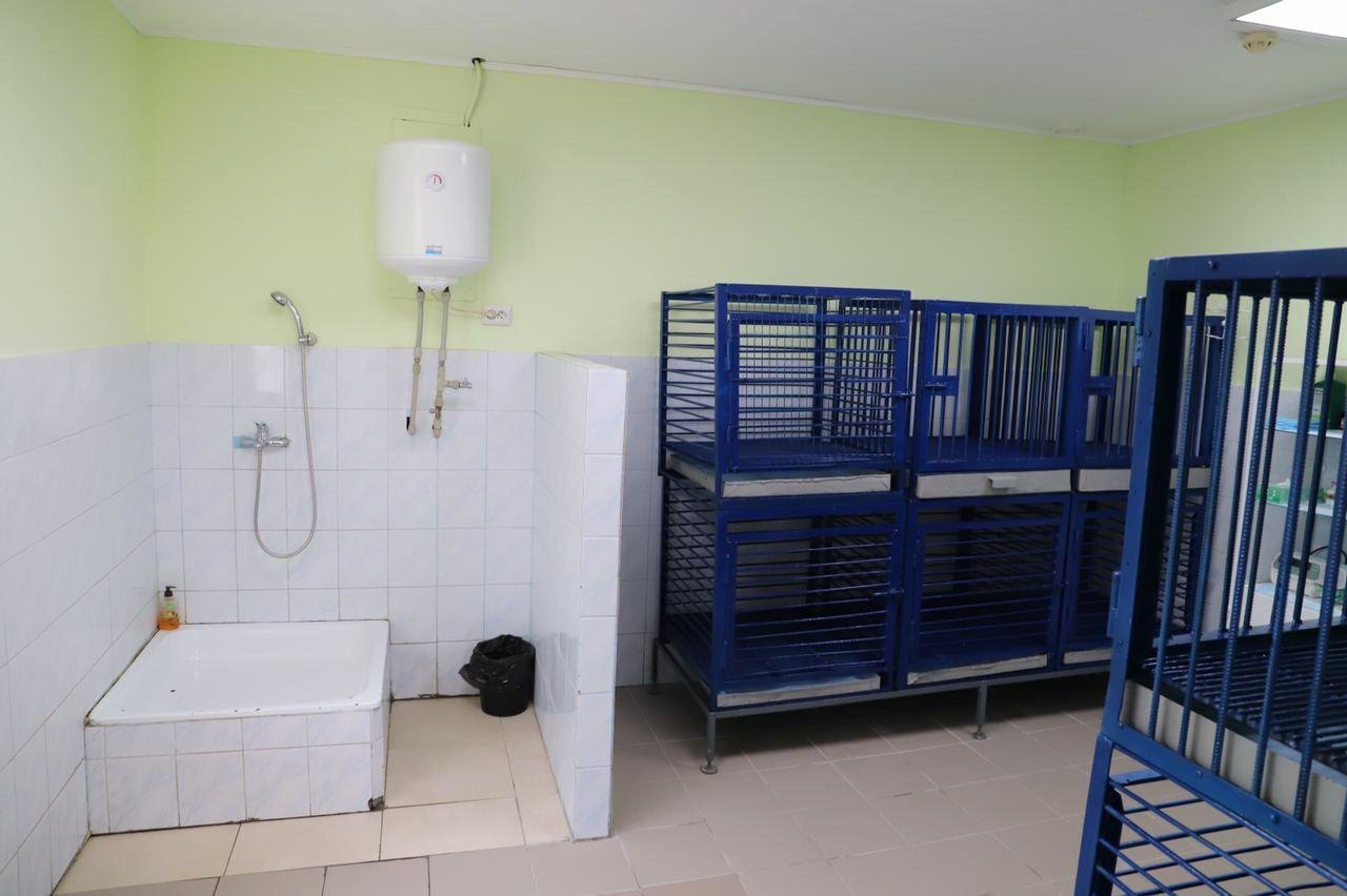 Фото: the-village.com.ua