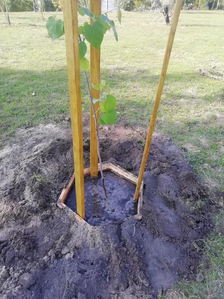 Фото: Центр альтернативного озеленения Киева