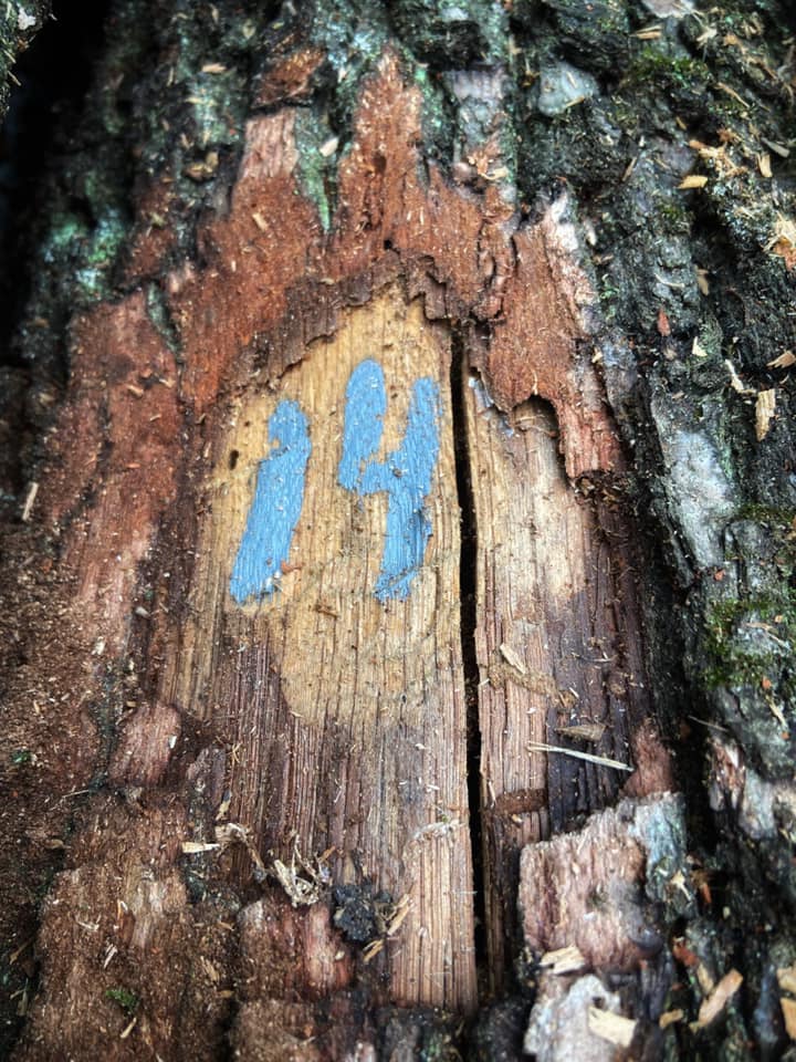 Фото: Евгений Мушкин