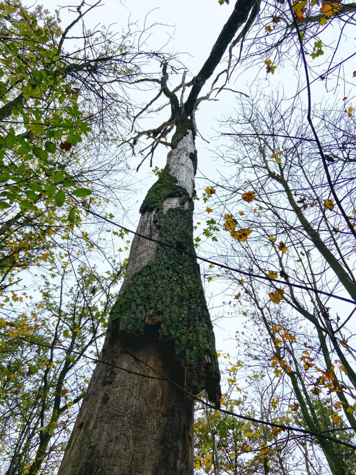 Фото: Евгений Мушкин