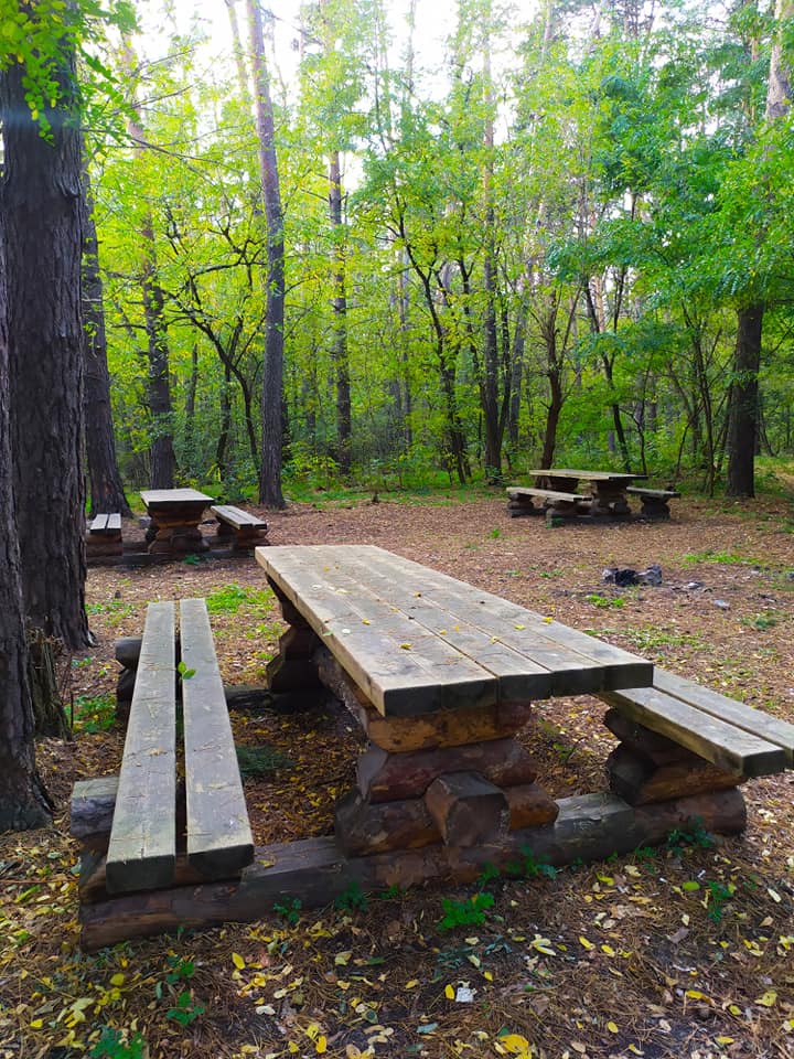 Фото: "Киевзеленстрой"