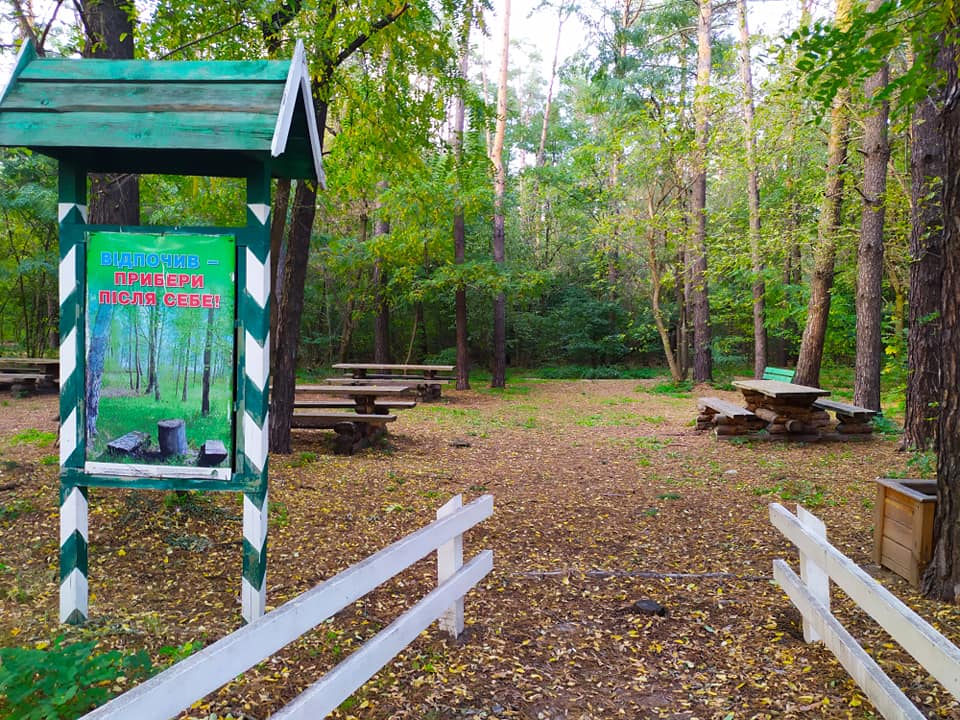 Для будущих пикников: в Дарницком лесу обновили две зоны отдыха фото 1