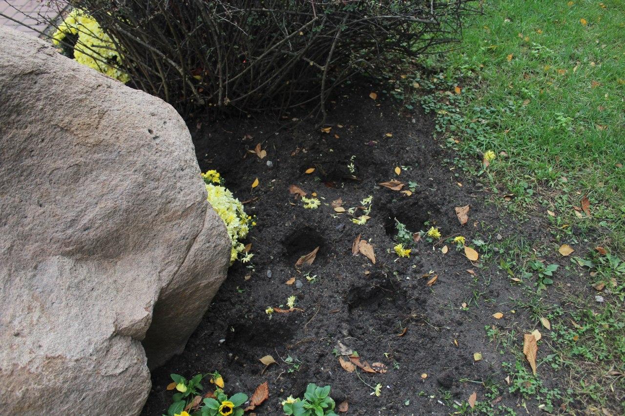 Фото: Валерия Кушнир, Vgorode