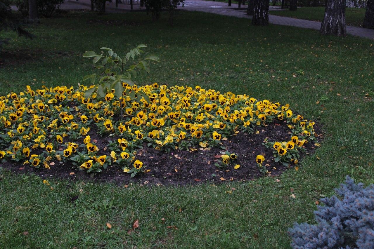 Фото: Валерия Кушнир, Vgorode