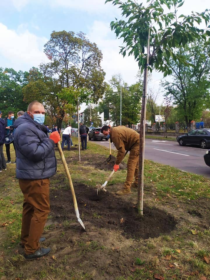 Фото: Киевзеленбуд