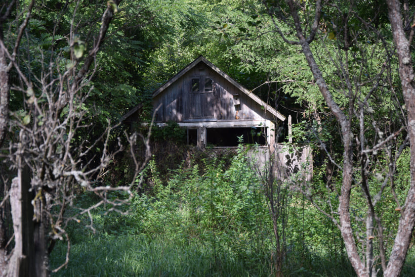 Фото: Кабмин.