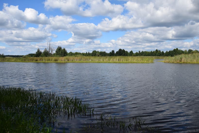 Фото: Кабмин.