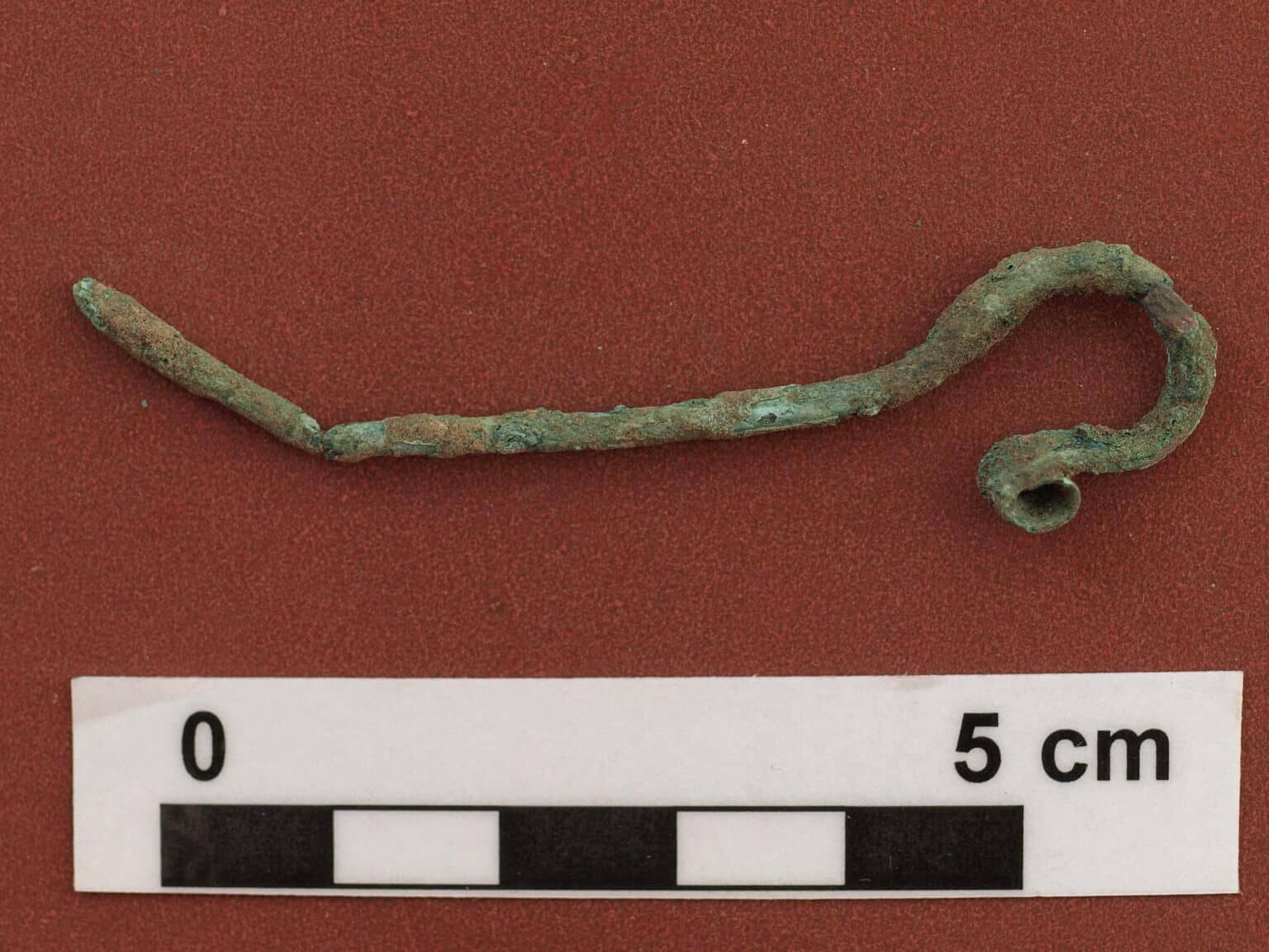 Фото: Игорь Полуектов.