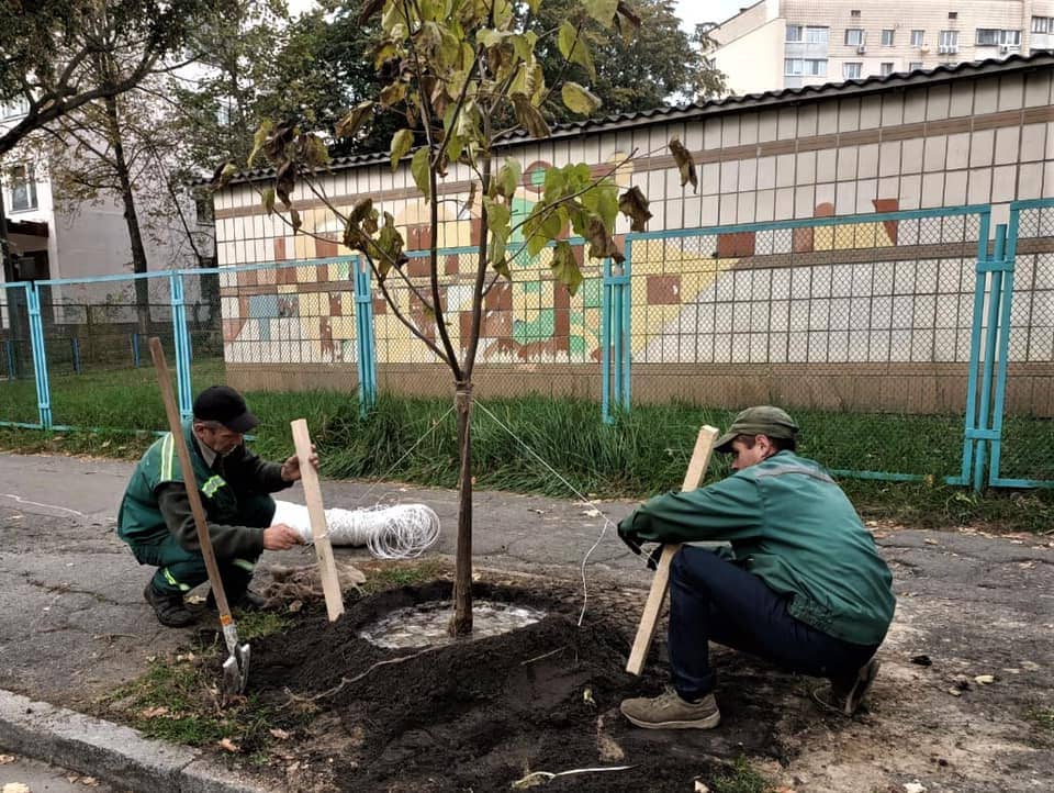 Фото: КП СЗН Соломенского района.