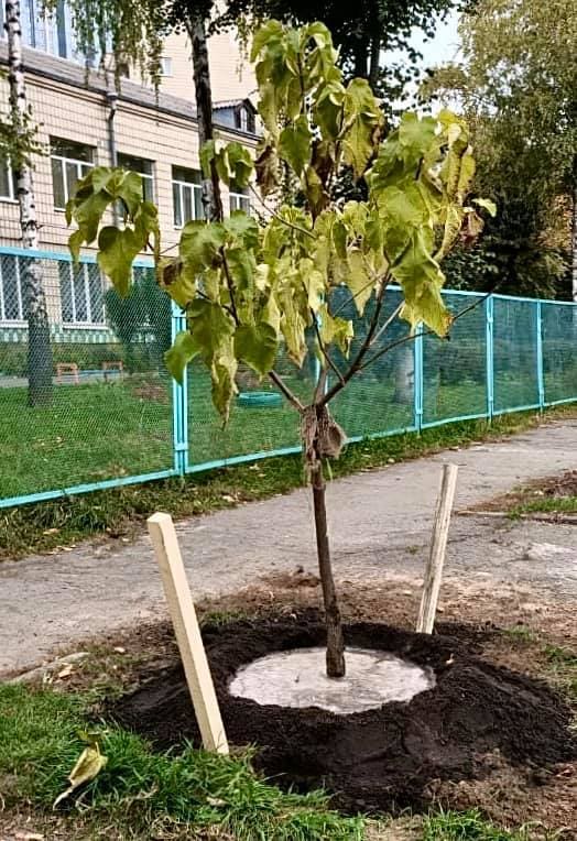 Фото: КП СЗН Соломенского района.