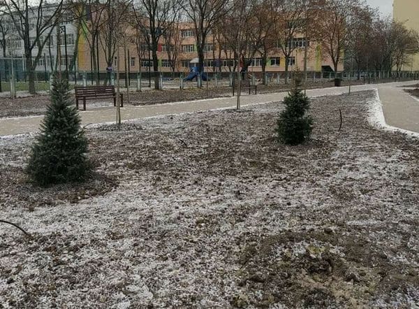 Фото: "Моя Оболонь".