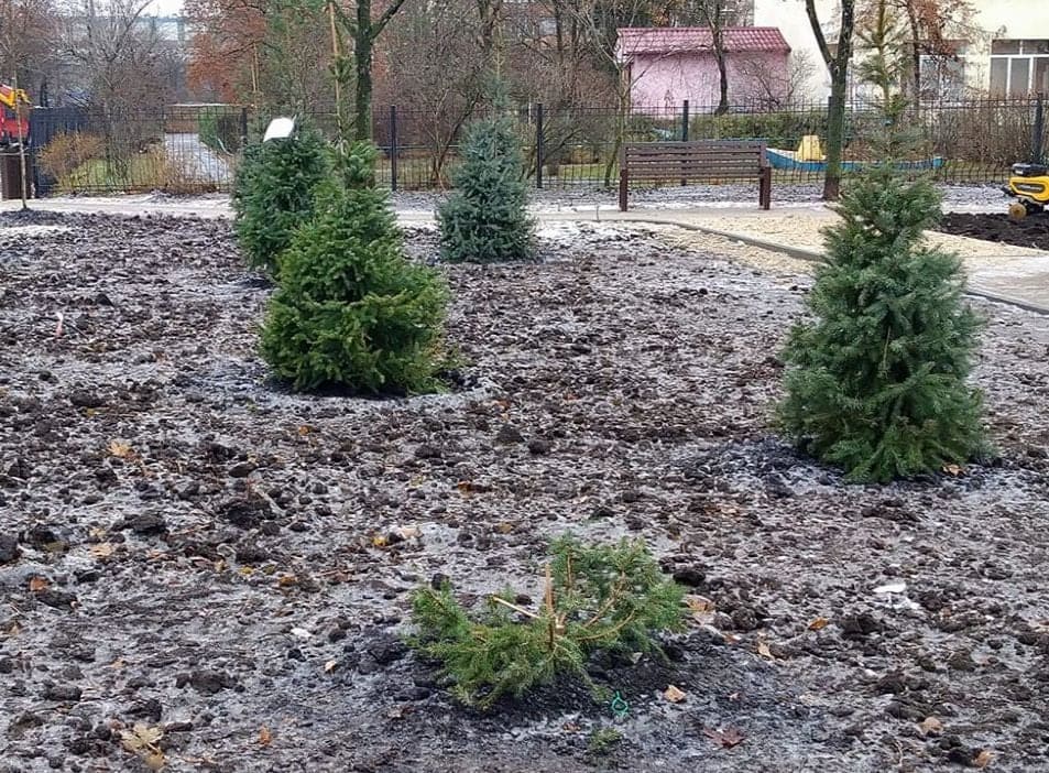 Фото: "Моя Оболонь".