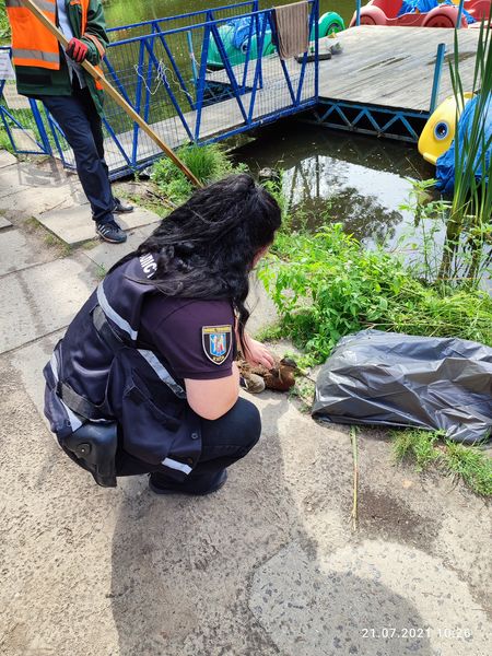  Фото: "Cусіди. Голосієво."