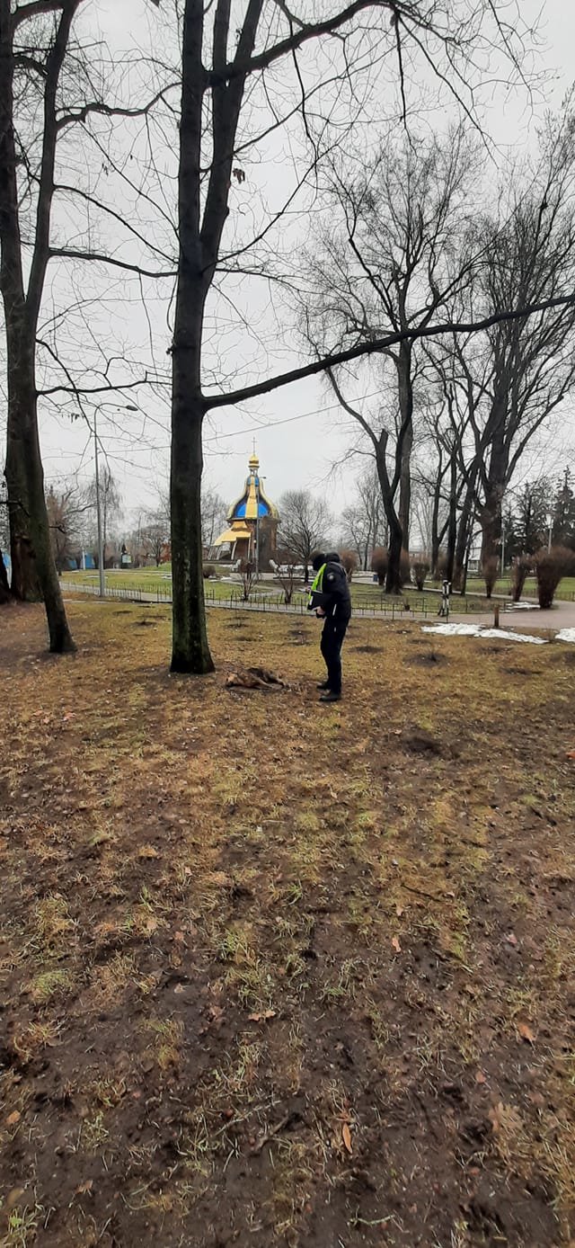 Фото: Зоопартуль Киев.