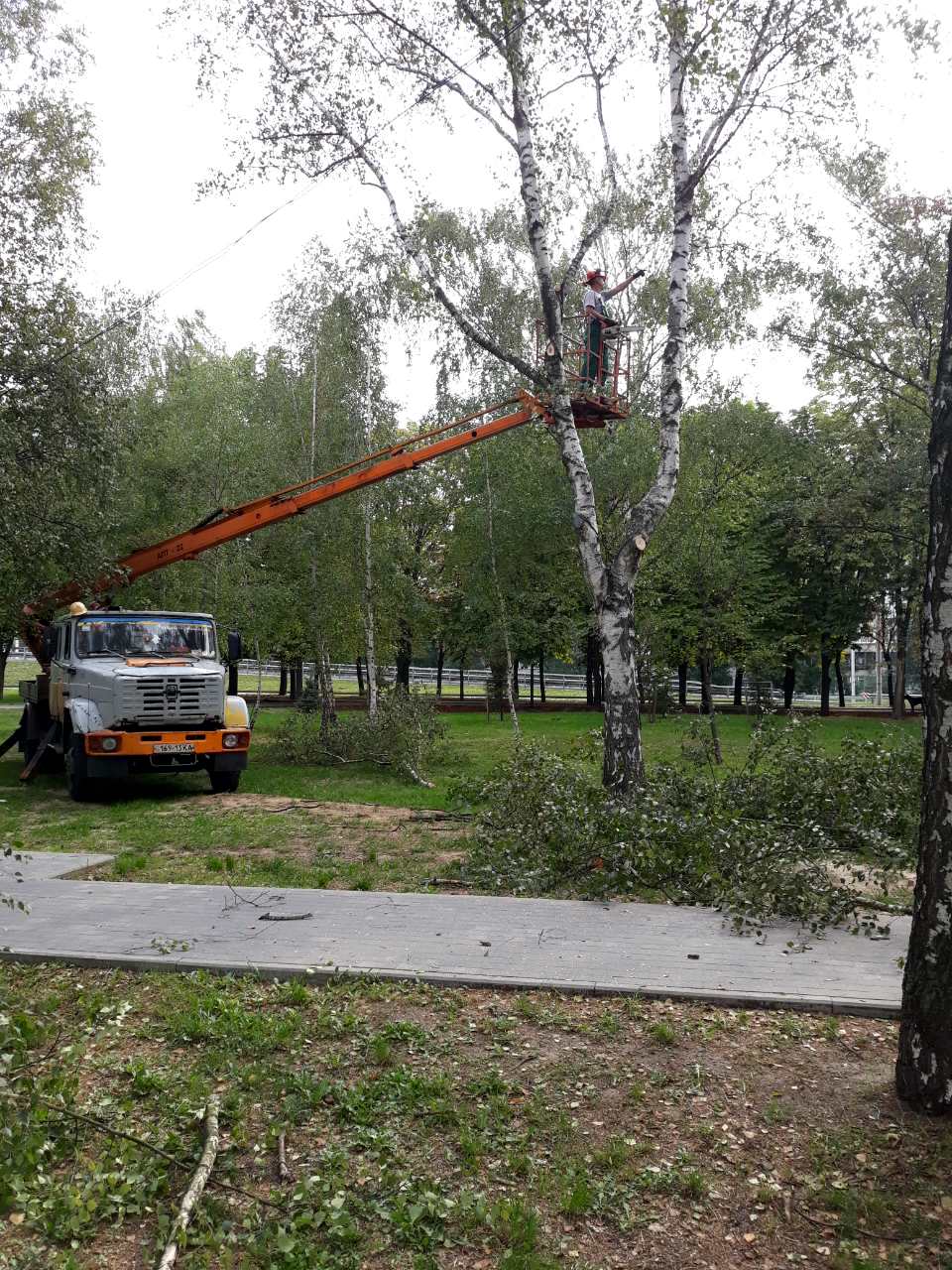 118875275_3321637274569842_4270169818390851236_o.jpg (233 KB)