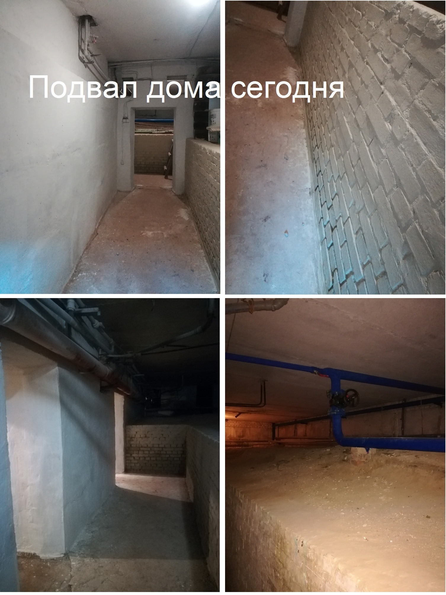 Фото: Тамара Чала.