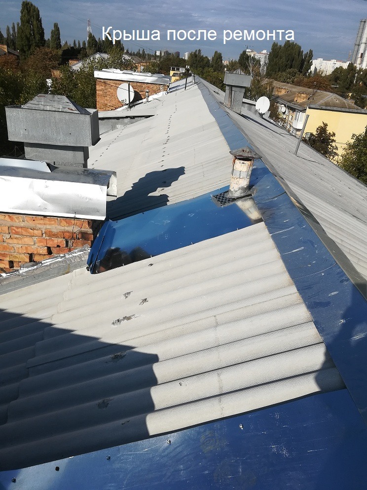 Фото: Тамара Чала.