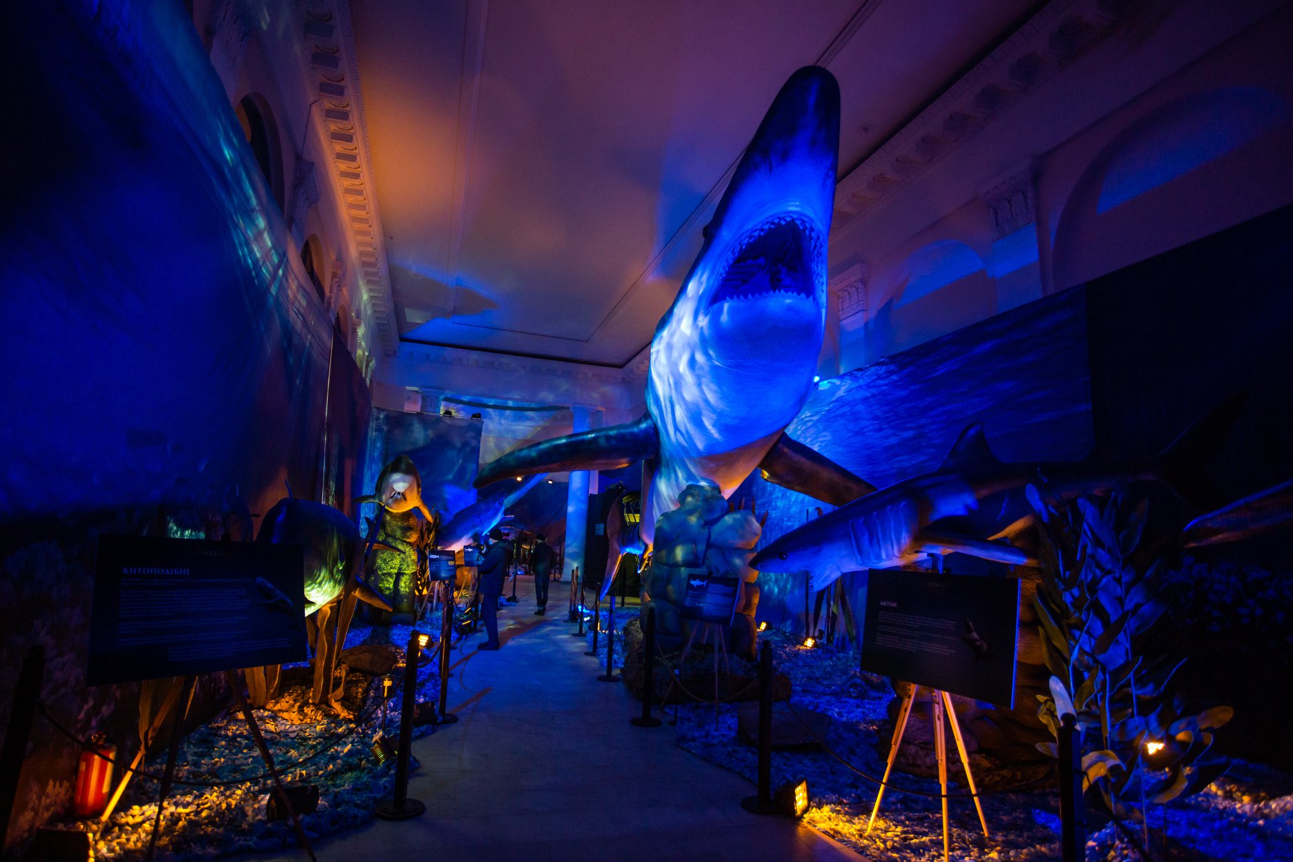 Куда пойти с детьми на 8 Марта в Киеве? фото 1