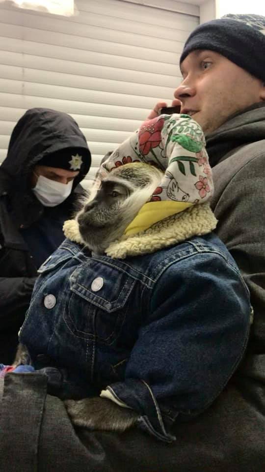 Даже в мороз: на Крещатике опять заметили "фотоживодеров" с обезьянками фото 1