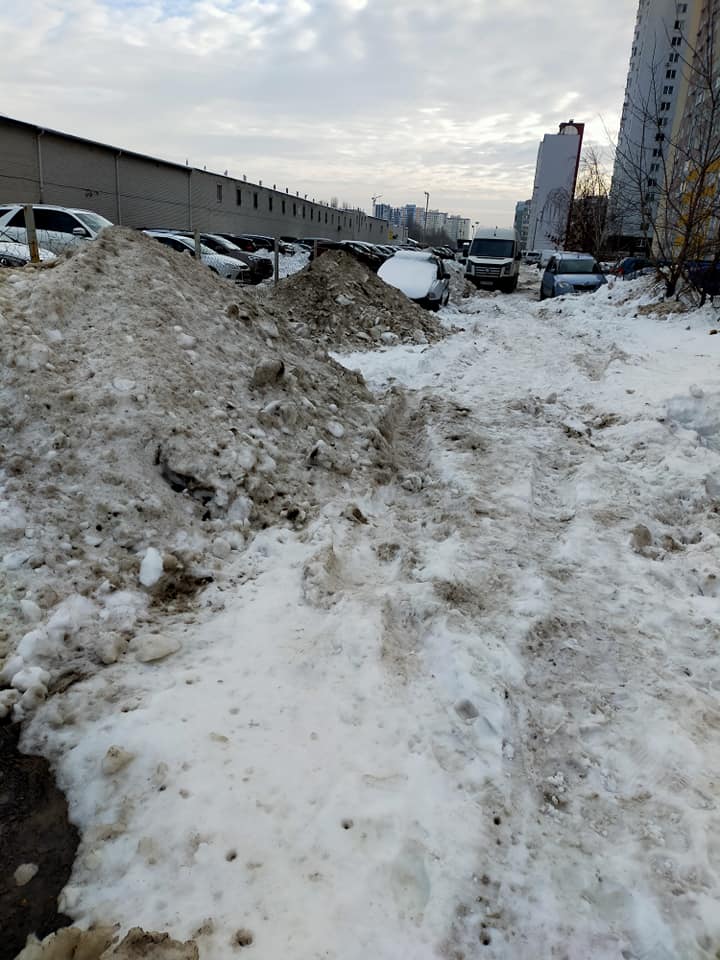 Фото: Алла Шевченко.