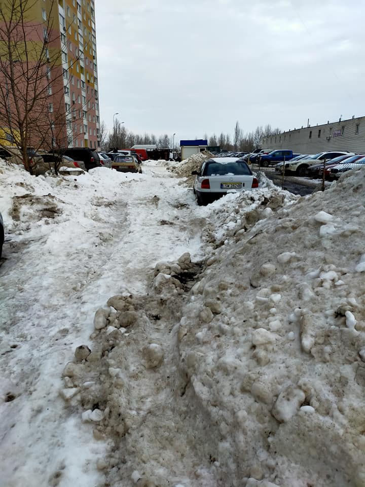 Фото: Алла Шевченко.