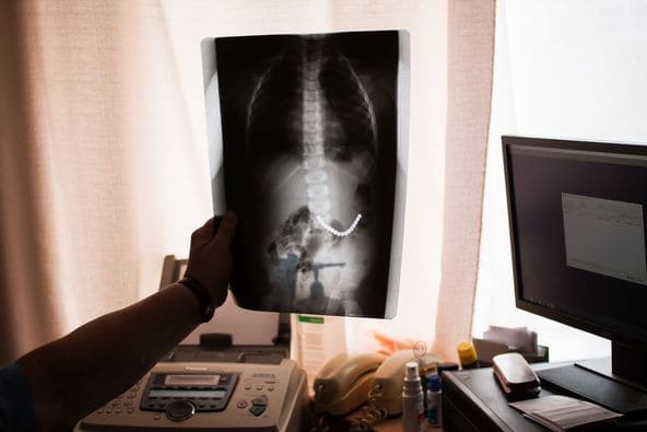 Фото: Николай Кулеба.