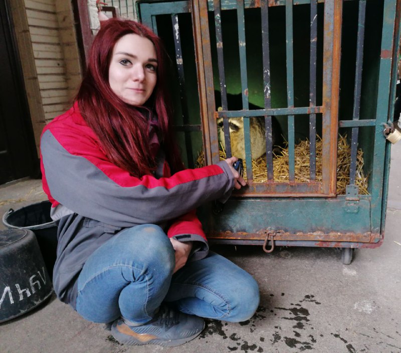 Фото: Kyiv Animal Rescue Group.