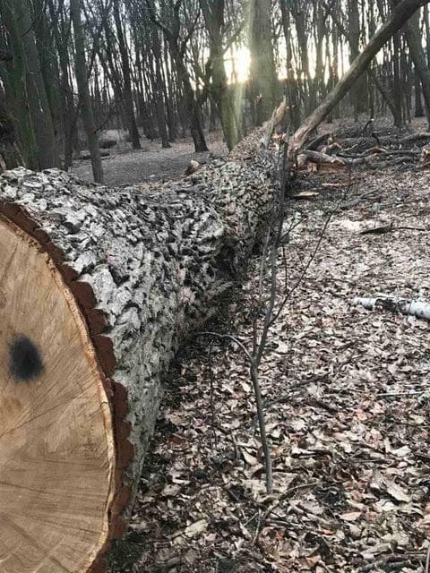 Фото: Клуб Коренного Киевлянина