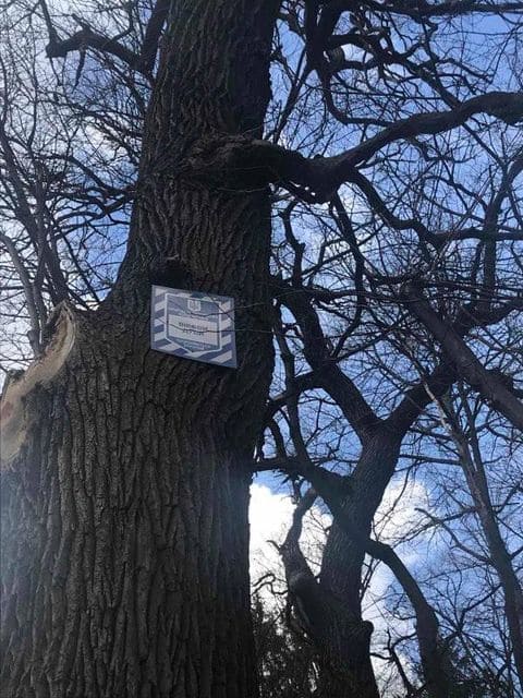 Фото: Клуб Коренного Киевлянина