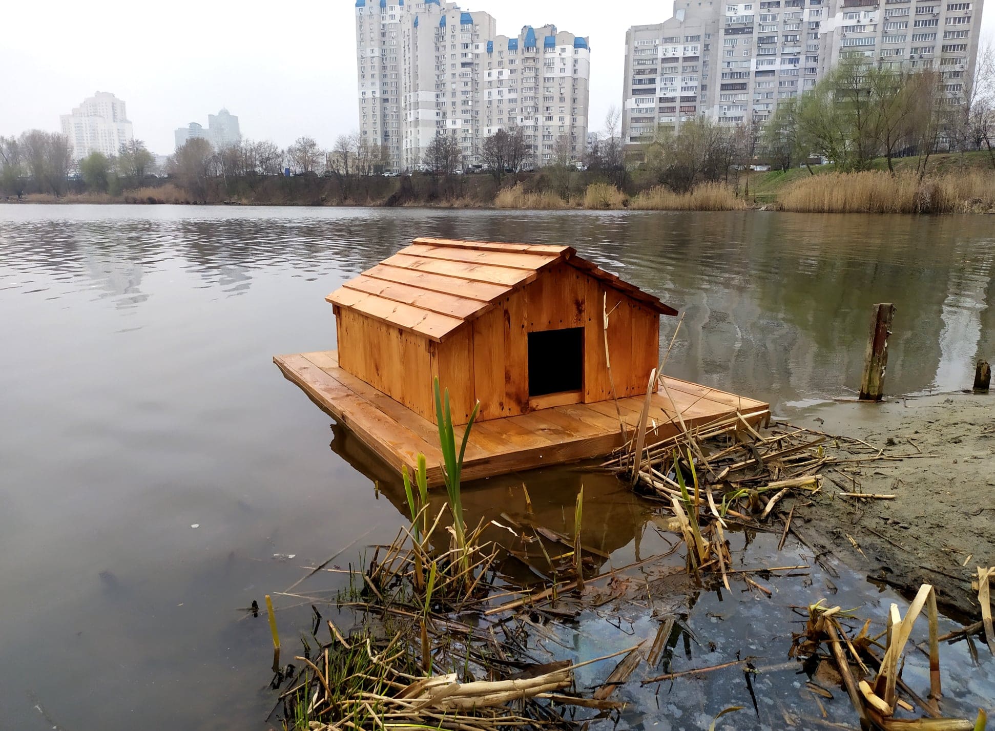  Фото: "Киевзеленбуд".