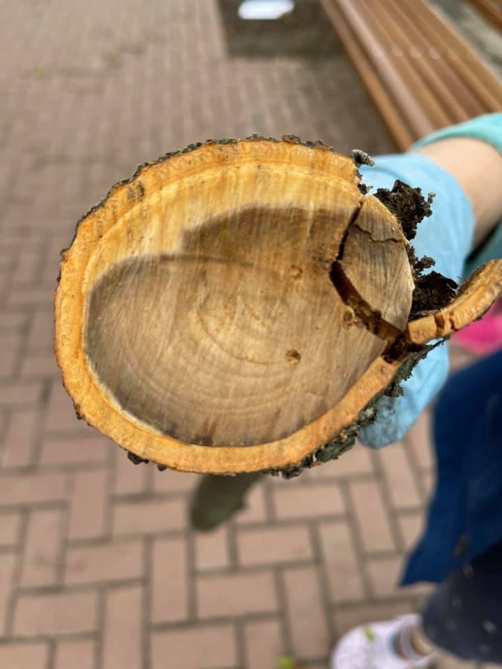 Фото: Люда Шилина.