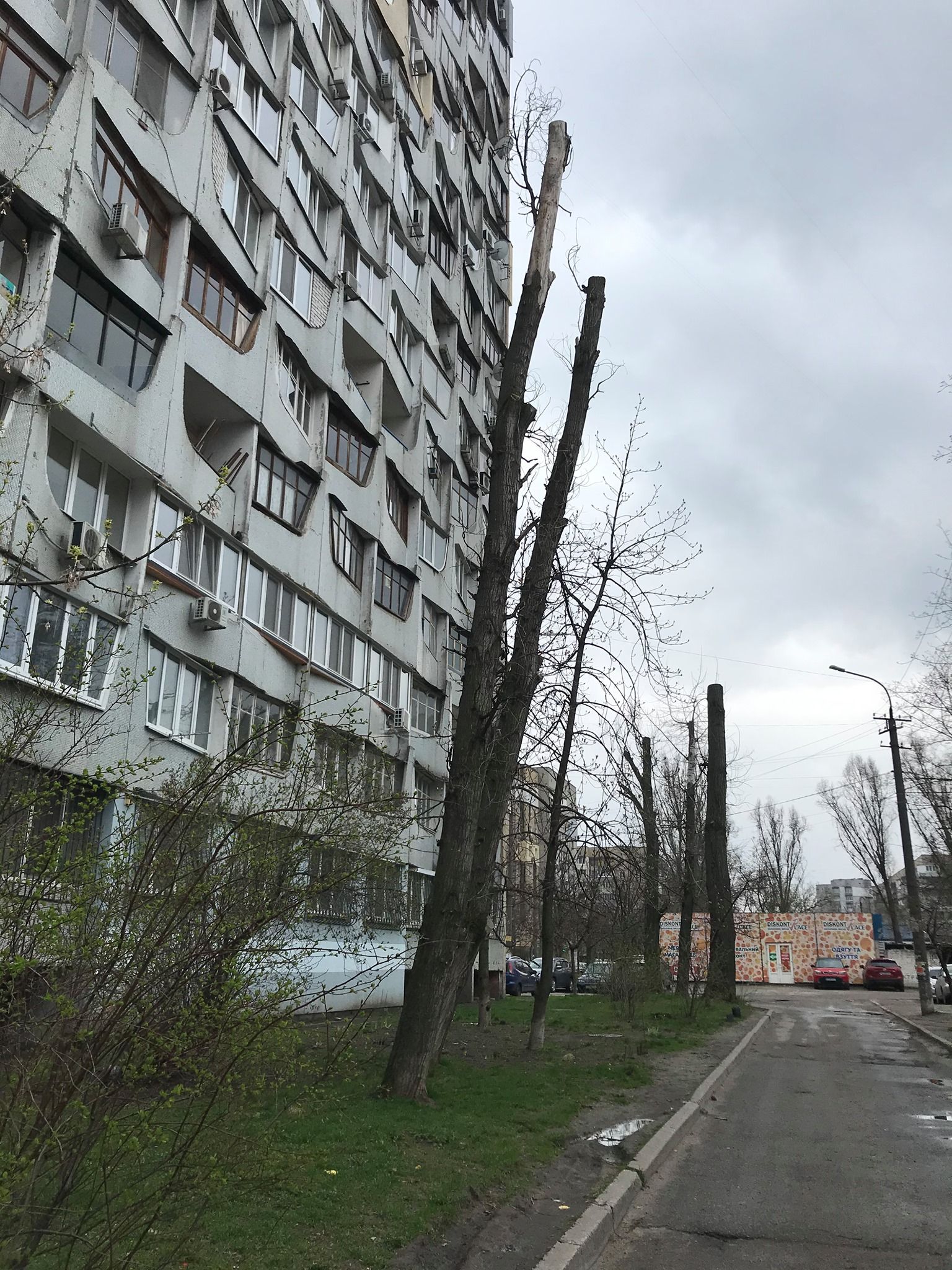 Фото: Environment People Law.